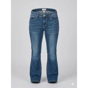 SHYANNE HIGH RISE FLARE LEG EMBROIDERED WESTERN CONCERT FESTIVAL EVERYDAY JEANS